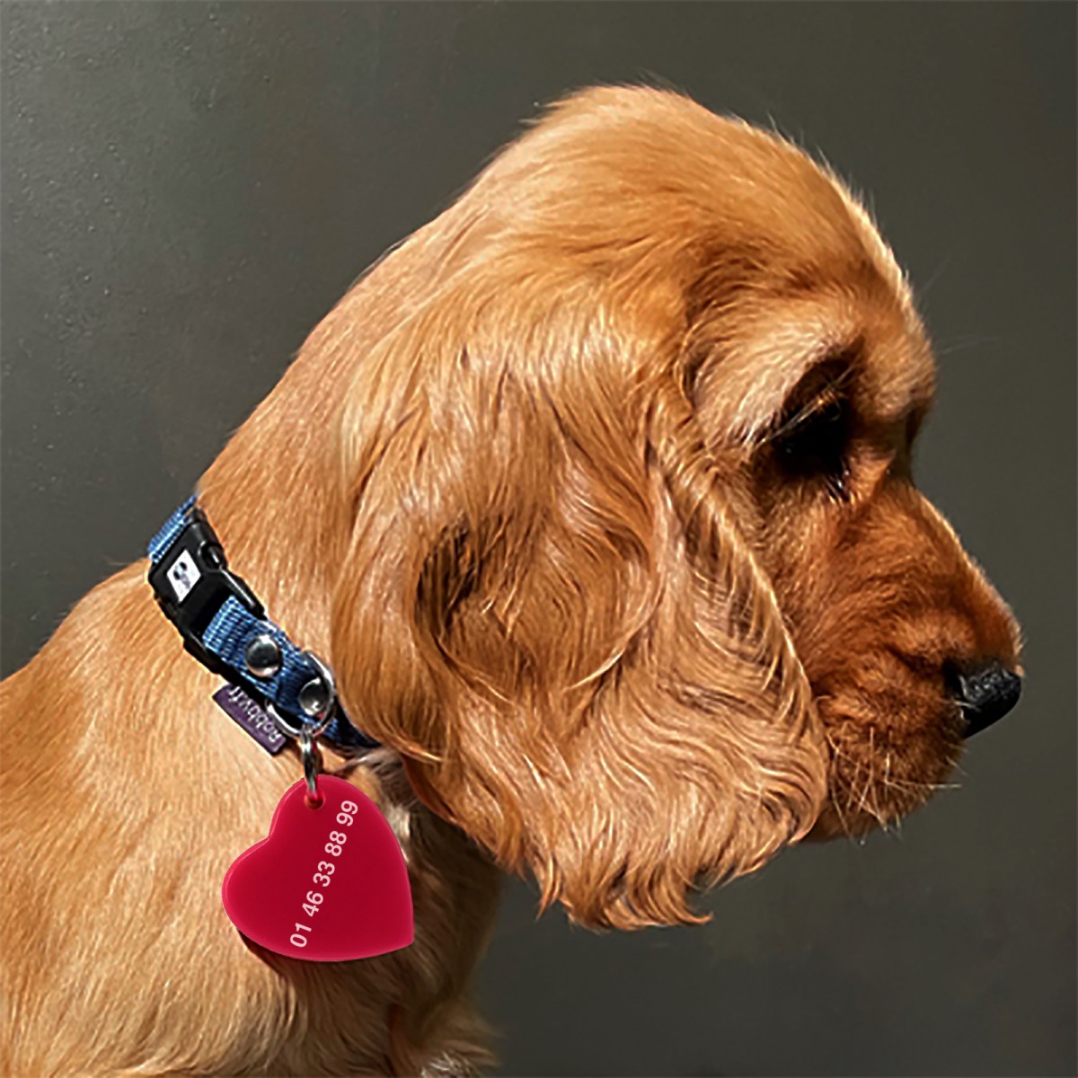 COEUR DE CHIEN - Médaillon pour chien fabriqué à la main par l'atelier Hervé Domar
