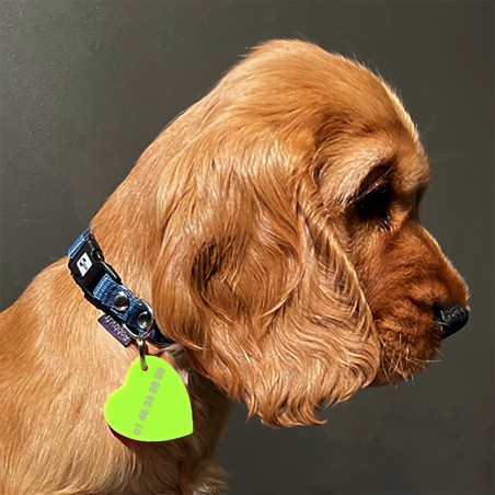 COEUR DE CHIEN - Médaillon pour chien fabriqué à la main par l'atelier Hervé Domar