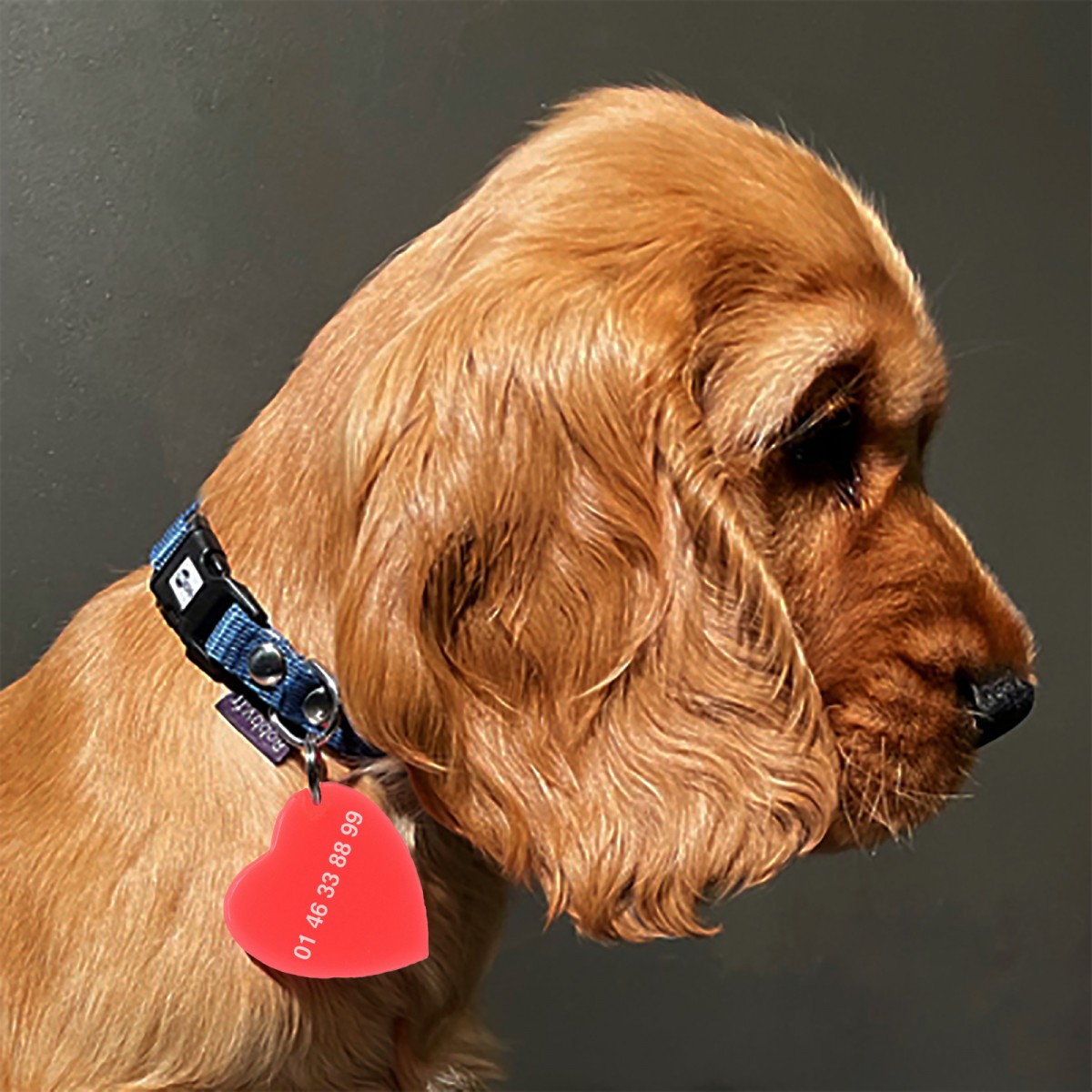 COEUR DE CHIEN - Médaillon pour chien fabriqué à la main par l'atelier Hervé Domar