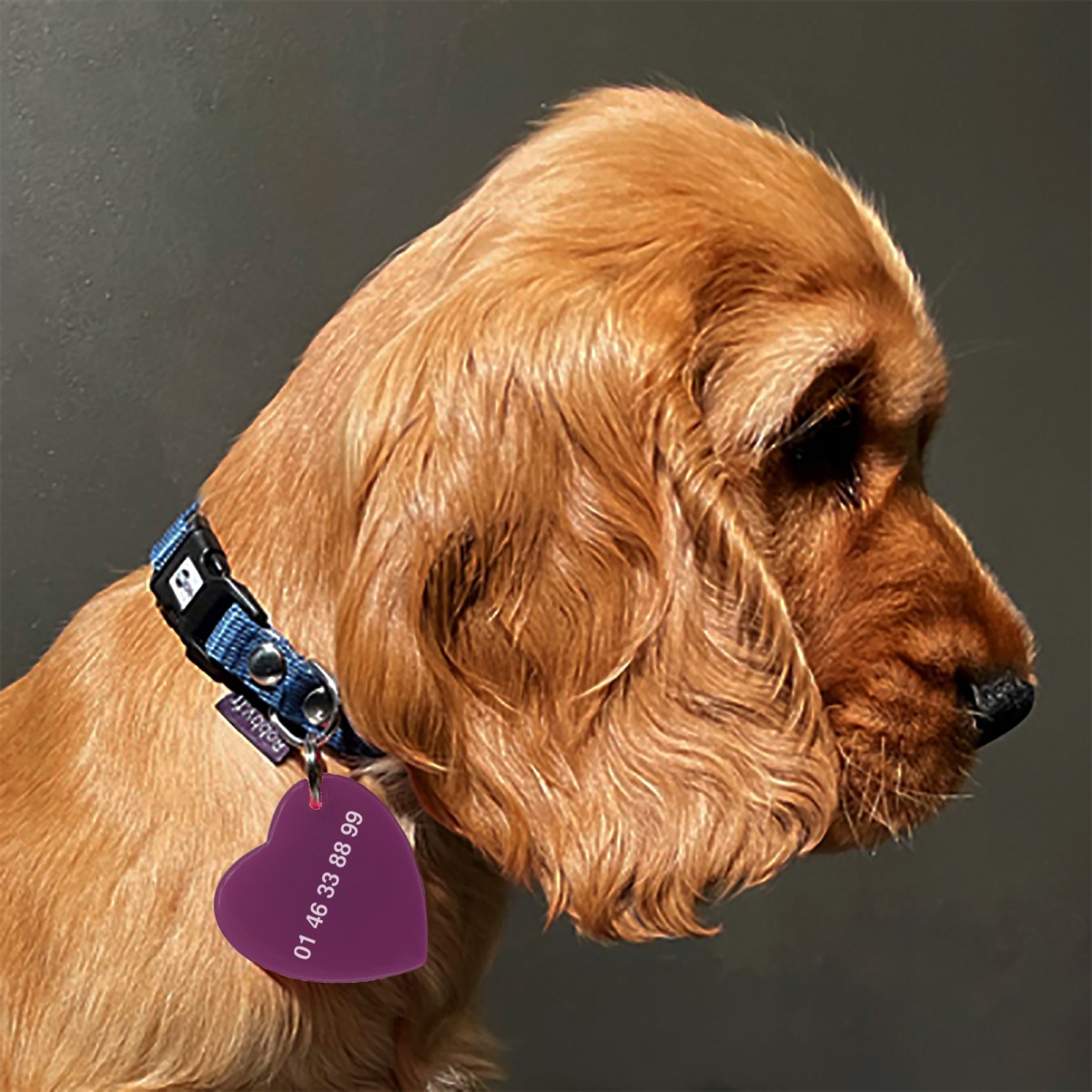 COEUR DE CHIEN - Medallion for dogs in acetate handcrafted by Hervé Domar workshop