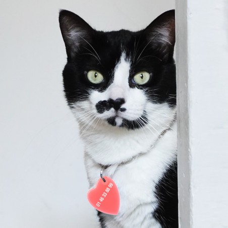 COEUR DE CHAT - Medallion for cats in acetate handcrafted by Hervé Domar workshop