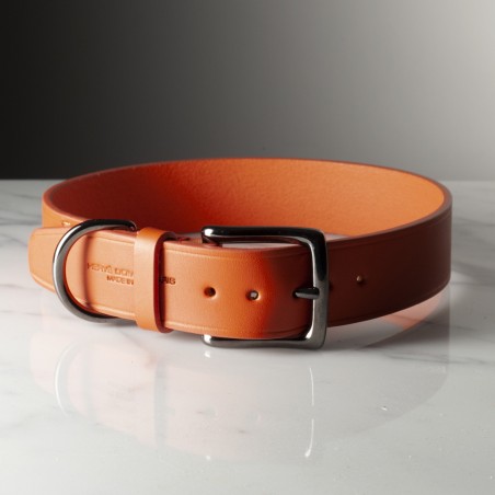 TAURILLON - COLLIER POUR CHIEN TAILLE SMALL