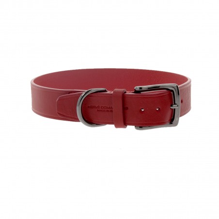 TAURILLON - COLLIER POUR CHIEN TAILLE SMALL