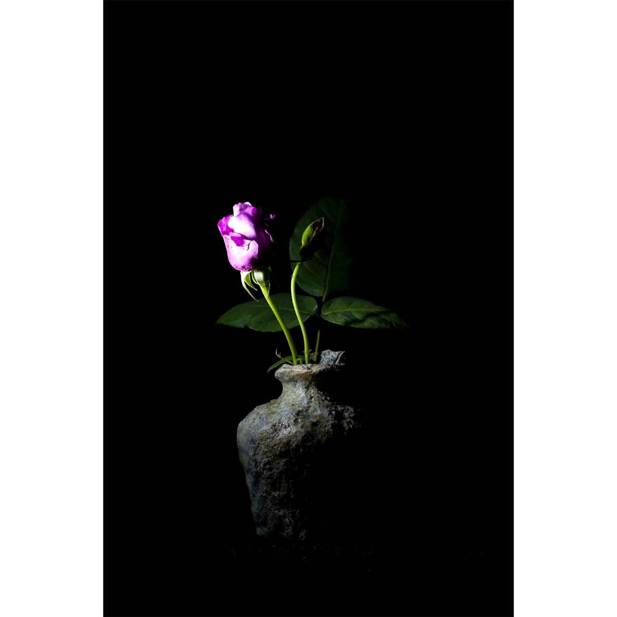 HD 02 ROSE - French artisanal eau de parfum