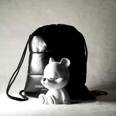 HUXLEY L'OURS EXPLOREUR