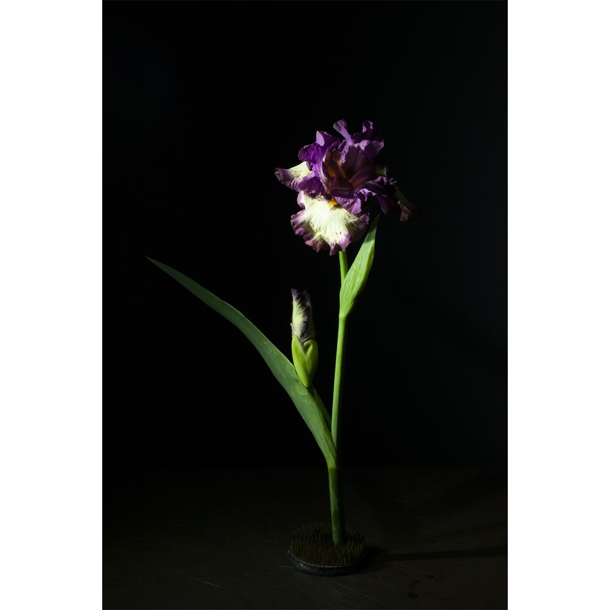 HD 19 IRIS - Eau de parfum MADE IN FRANCE
